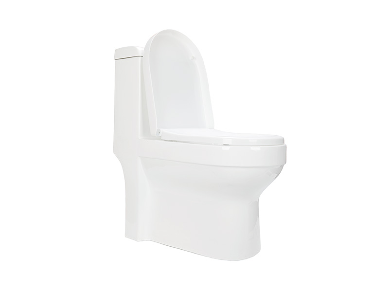 智能发泡坐便器 ABJ-F109
